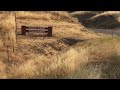 Berryessa Highlands a year after Hennessey fire