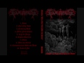 Eulabes - Order from Chaos
