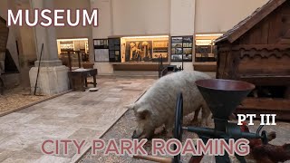 Vajdahunyad Hidden Treasures: Exploring the Museum's Prehistoric and 14th-19th Century Exhibits!\