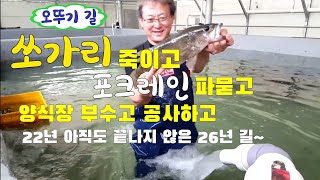 김진규쏘가리 대량양식 길 너무 힘든다 포크레인으로 묻고 울다 다시 시작하며 26년 오뚜기 길