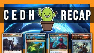 Spike Feeders X @scrybabies cEDH Showdown! | Winota VS Pako/Haldan VS Niv-Mizzet VS Krarkashima