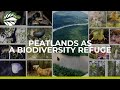 Peatlands, a Super Nature Based Solution (French audio)