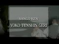 YOKO TENSHIN GERI