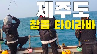 제주도 참돔 타이라바 첫 출조!!! 과연 빠가를 잡을 수 있을 것인가!!!!?