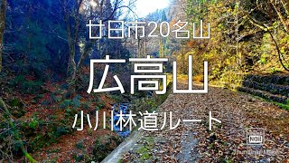 広高山 小川林道ルート 廿日市20名山