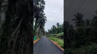 గుడిమెల్లంక గ్రామం,రాజోలు. #shorts #ilayaraja #ilayarajasongs #nature #village #konaseema