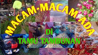 MACAM-MACAM ADA DI TAMU TAMBUNAN