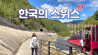 우리나라 맞아⁉ SNS 해외감성 국내여행지 추천｜백두대간 협곡열차 V트레인｜국내 트레킹 코스