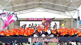 【人生彩彩】第20回泉州YOSAKOI ゑぇじゃないか祭り2024