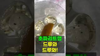 초파리트랩으로 초파리 없애는법