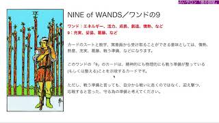 【🔰初心者向け】ワンドの9／NINE of WANDS 徹底解説