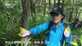 [远方的家]大好河山 大巴山——走进无人区| CCTV中文国际