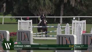 Amazing - NAL 1.30m Junior/Amateur Jumper Classic 1.35 (grass) - 1st Place JUMP OFF