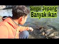 Gila..SUNGAI JEPANG PENUH IKAN DAN BERSIH BANGET. Orang jepang gak doyan ikan ya?