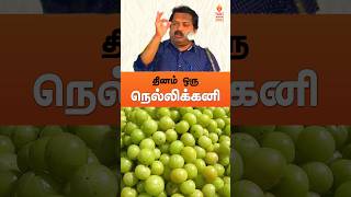 தினம் ஒரு நெல்லிக்கனி😍 #drsivaraman #nellikai #nellikkai #shorts #health #fruit #tamil