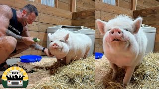 I've never captured a transformation on camera like this | The Asher House