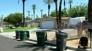 № 68. США. Калифорния. Как растут финики. Palm Desert, California