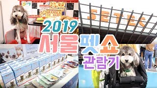 2019 서울펫쇼 다녀왔어요🐶 | 펫페어 | 애견박람회 | SEOUL PET SHOW | SETEC