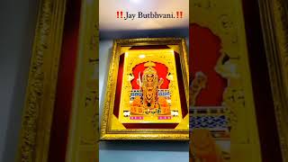 Jay But Bhavani maa 🙏 #trend #shortvideo #sorts #jaybutbhavani #viralvideo