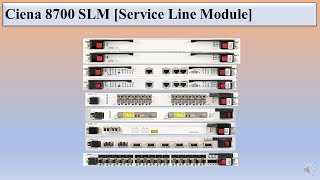 Ciena SLM [Service Line Module] . [PSLM (PSLM-680-8, PSLM-400-31, PSLM-200-20, PSLM-200-2) and CSLM]