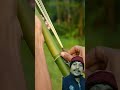 marble creations with bamboo slingshots bamboo slingshots diy bambooart marble