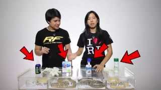 RF OK Ep.02 : วิธีกำจัดเห็บงู (Get Rid of Mites)