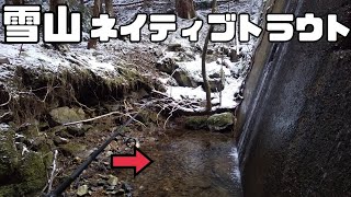 【アマゴ釣り】雪山の渓流はルアーひとつで何匹釣れる？？【渓流釣り】