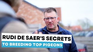 Rudi De Saer's Secrets to Breeding Top Pigeons