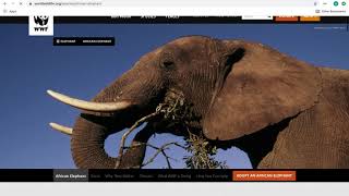 cli ruby gem project walkthrough -Flatiron School
