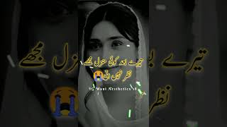 Manzil😭#trending #shayari #sad_urdu_poetry #deep_line 💔😭 #viralvideo #short #viral (Wani Aestheticx)