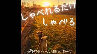 【しゃべれるだけしゃべる】#0120 気づきと自己啓発とノイズと進路妨害と仕事不安と教養無用人生の話 from Radiotalk