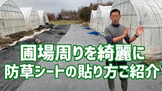 「いちご栽培 いちごの農家」圃場周りを綺麗にしてハウス内を綺麗に！ 防草シートの張り方ご紹介