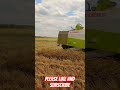 CLAAS Crop tiger 30 & 40 | #claas #paddyharvesting