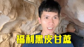 老谭和小九去看甘蔗，小九一路不出声，我也不敢过去打扰，好尴尬【广西农村老谭】