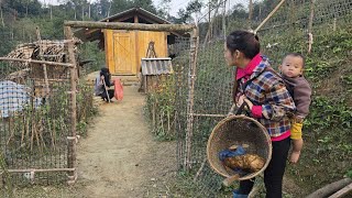 Single mother harvests a special wild plant to sell. A beggar comes asking for food. What to do?