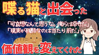 【不思議な体験】獣医師なったばかりの頃、喋る猫と出会った。猫は私に色々教えてくれた。【2ch・ゆっくり解説】