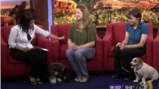 Jasmine and Jesse on Good Morning AZ