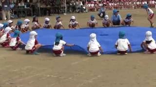 2016年　幼稚園運動会　年長パラバルーン