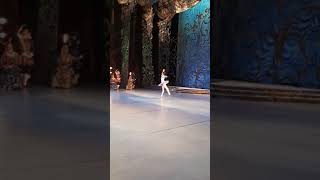 П.чайковский-вариация принцессы Флорины(балет Спящая красавица)