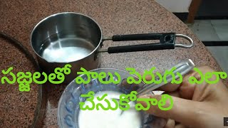 సజ్జలు sajja paalu (Bajra) తో పాలు, పెరుగు తయారు చేయడం ఎలా? ఈ పాలు, పెరుగు ఎవరైనా వాడుకోవచ్చు.