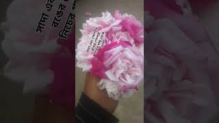 নিজের গাছের সাদা এবং গোলাপি রঙের গোলাপ ❤️#music #love#viral reel#white rose#pink rose