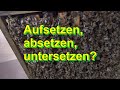 Aufsetzen, absetzen, untersetzen?