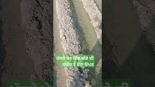 ਪੱਧਰੇ ਖੇਤ ਵਿੱਚ ਗੰਢੇ ਦੀ ਗਰੋਧ ਤ ਵੱਟਾ ਓਪਰ #farming #farminglifeinanotherworld #agriculturalsystem