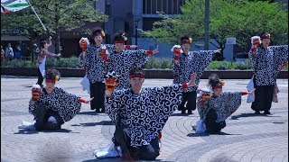 よさこい知求群会 AOMORI春フェスティバル2018