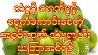 ကံပွင့် လာဘ်ပွင့် ငွေကံကောင်းစေတဲ့ အစွမ်းထက် သံပုရာသီး ယတြာ