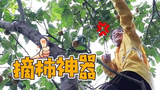 十三妹爬树摘柿子，还自制摘果神器，动作行云流水惊呆老表！【湘西十三妹】