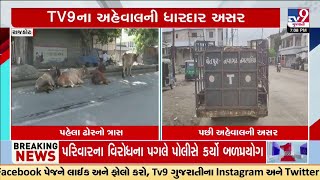 રાજકોટ: TV9ના અહેવાલની ધારદાર અસર, પાલિકા તંત્ર આવ્યું એક્શનમાં, રખડતા ઢોર પકડવાની કામગીરી કરી શરૂ