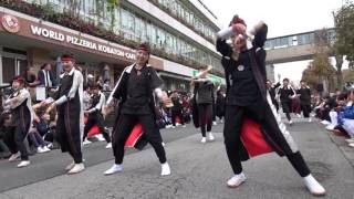 朝霞鳴子一族　め組①＠2016　彩の国よさこい踊り交流会