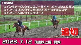 【3歳以上馬　調教】2023.7.12【坂路・トラック】入厩を控えた競走馬の追い切り