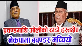 नेकपामा रोकिएन ओली प्रवृति, कता हरायो प्रचण्डको कार्यकारी | Today breaking news | kp oli sarkar